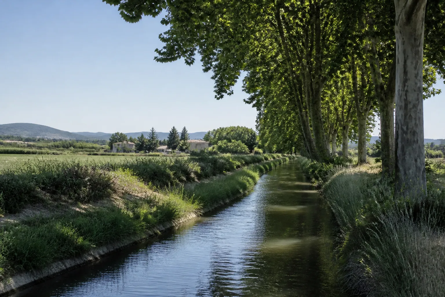 Canal d’irrigation bordé d’arbres dans une plaine de Haute-Provence
