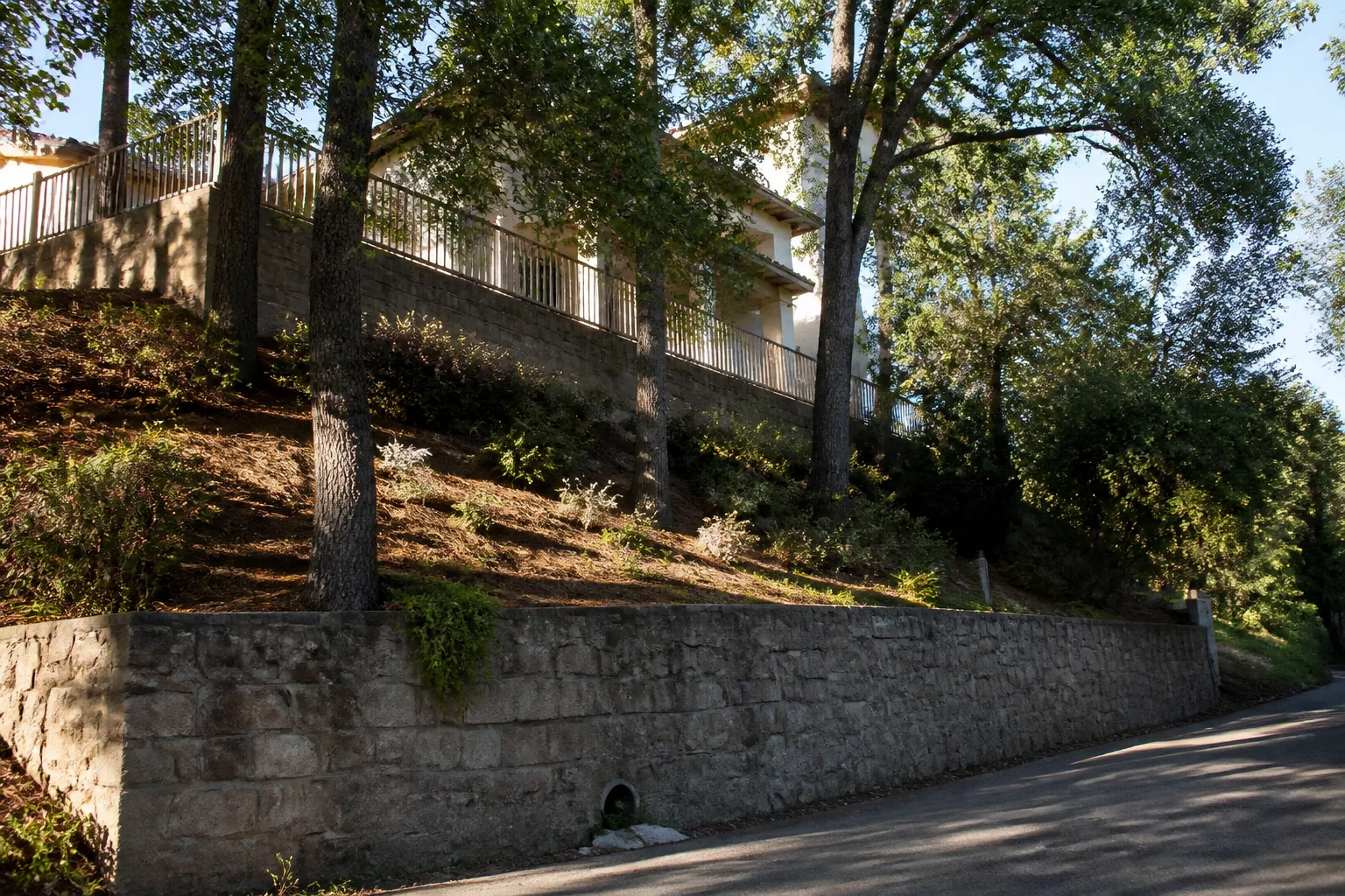 Talus boisé et mur de soutènement en contrebas d’une maison