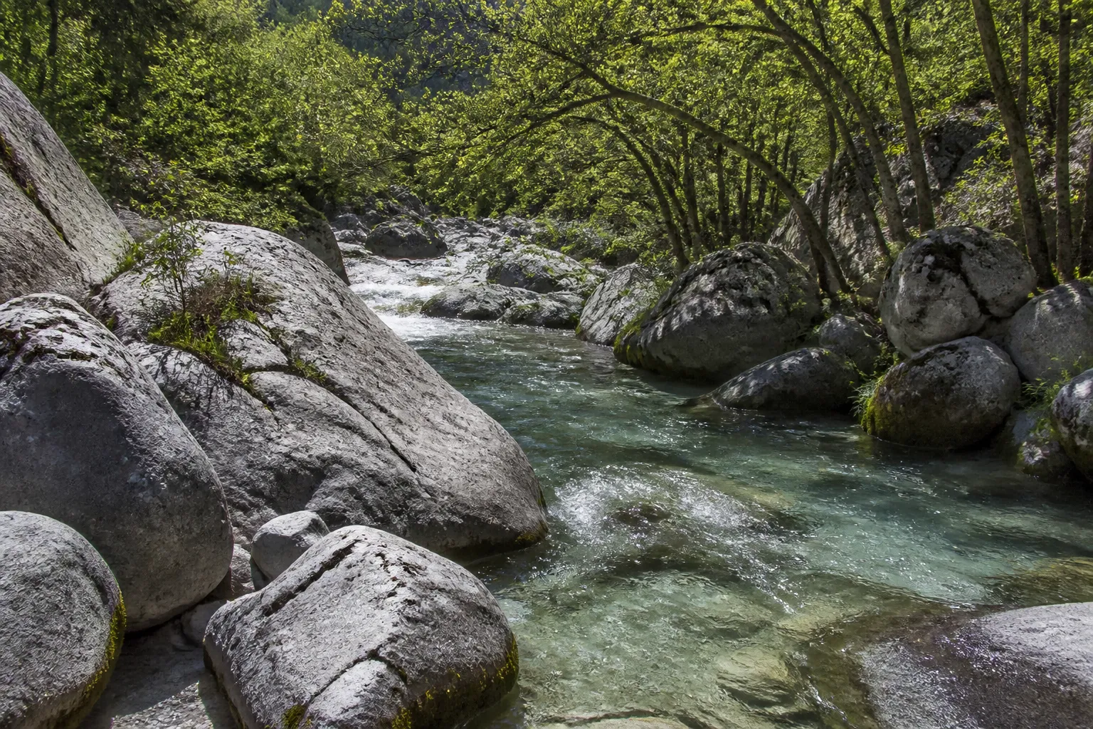 Rivière de montagne aux eaux claires entre des rochers