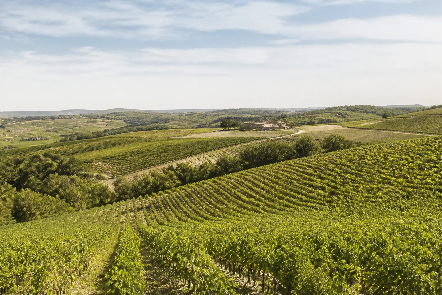 Coteaux cultivés aux sols argilo-calcaires