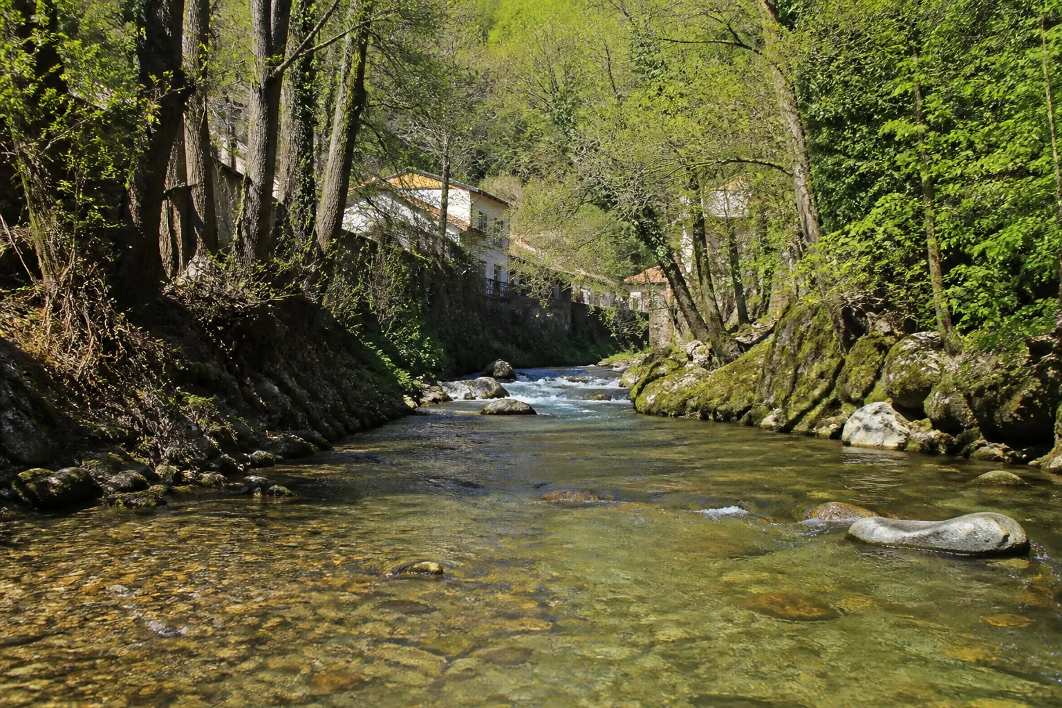Ruisseau encaissé entre des berges boisées près d’habitations