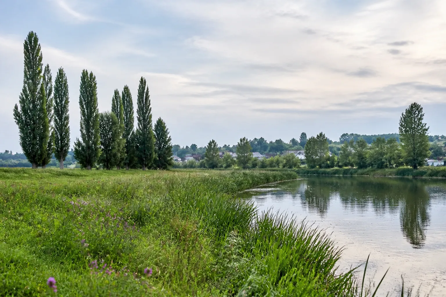 Prairie inondable au bord d’une rivière près d’un bourg