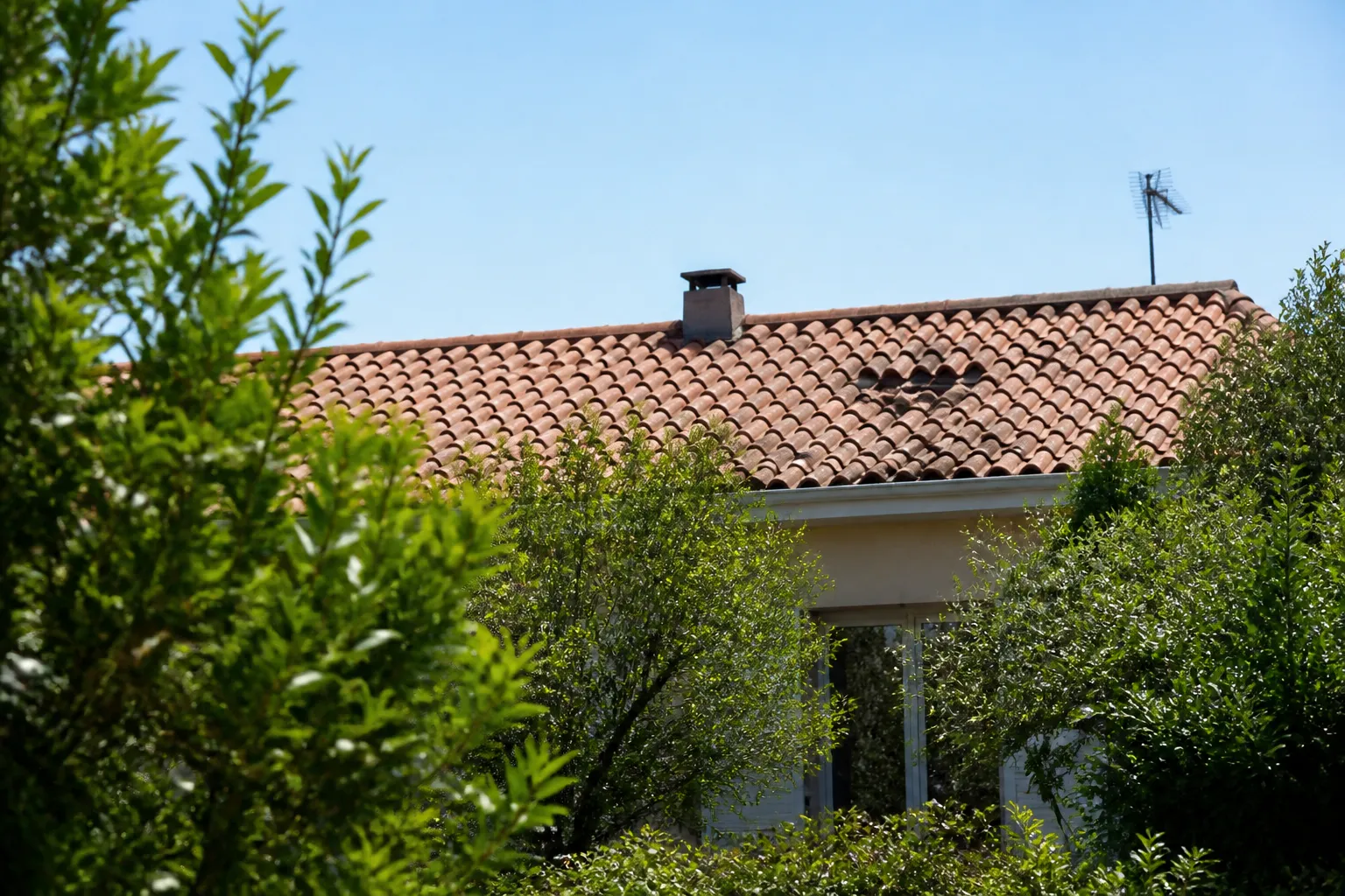 Toiture en tuiles observée depuis le jardin