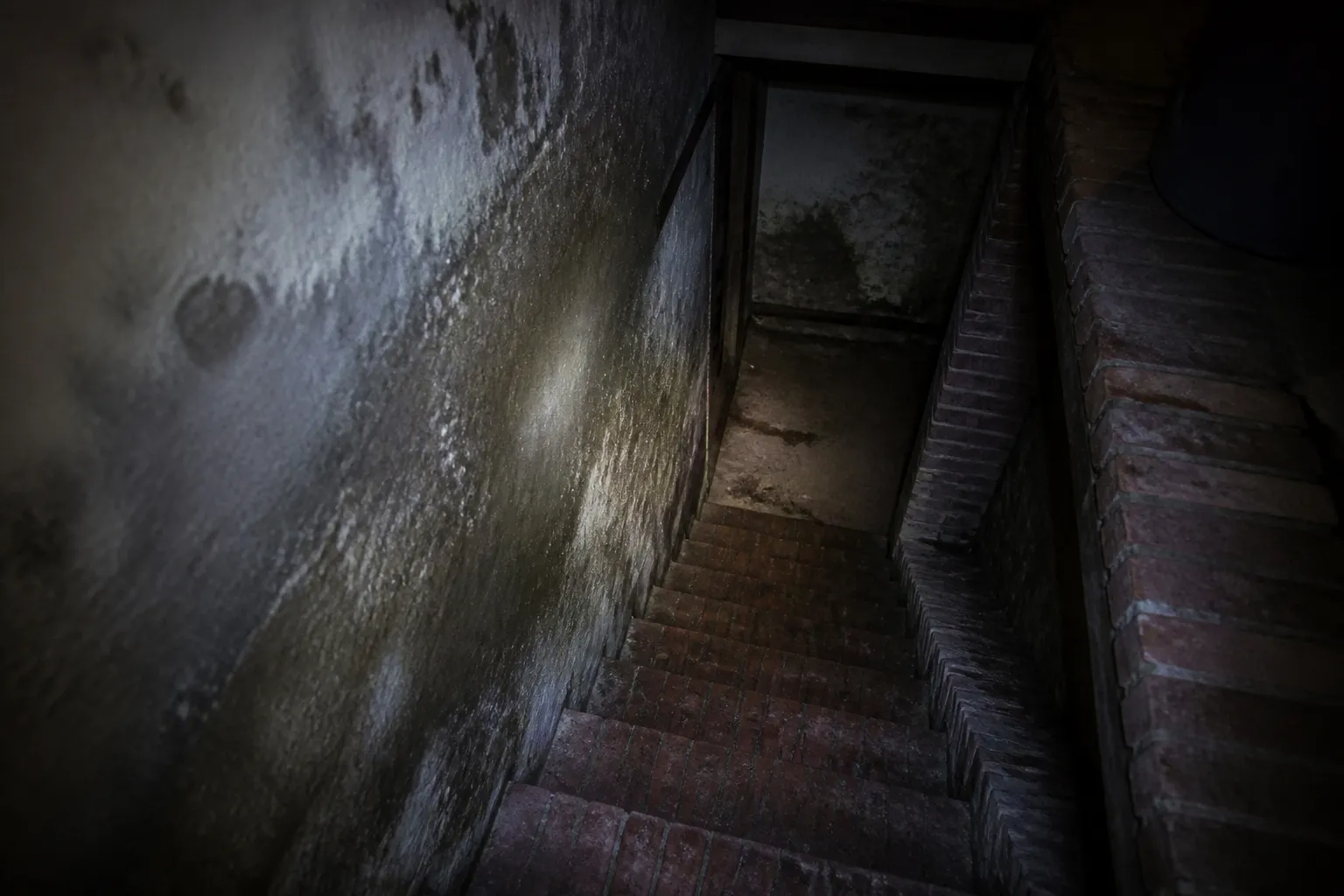 Escalier de cave et mur humide examinés à la lampe