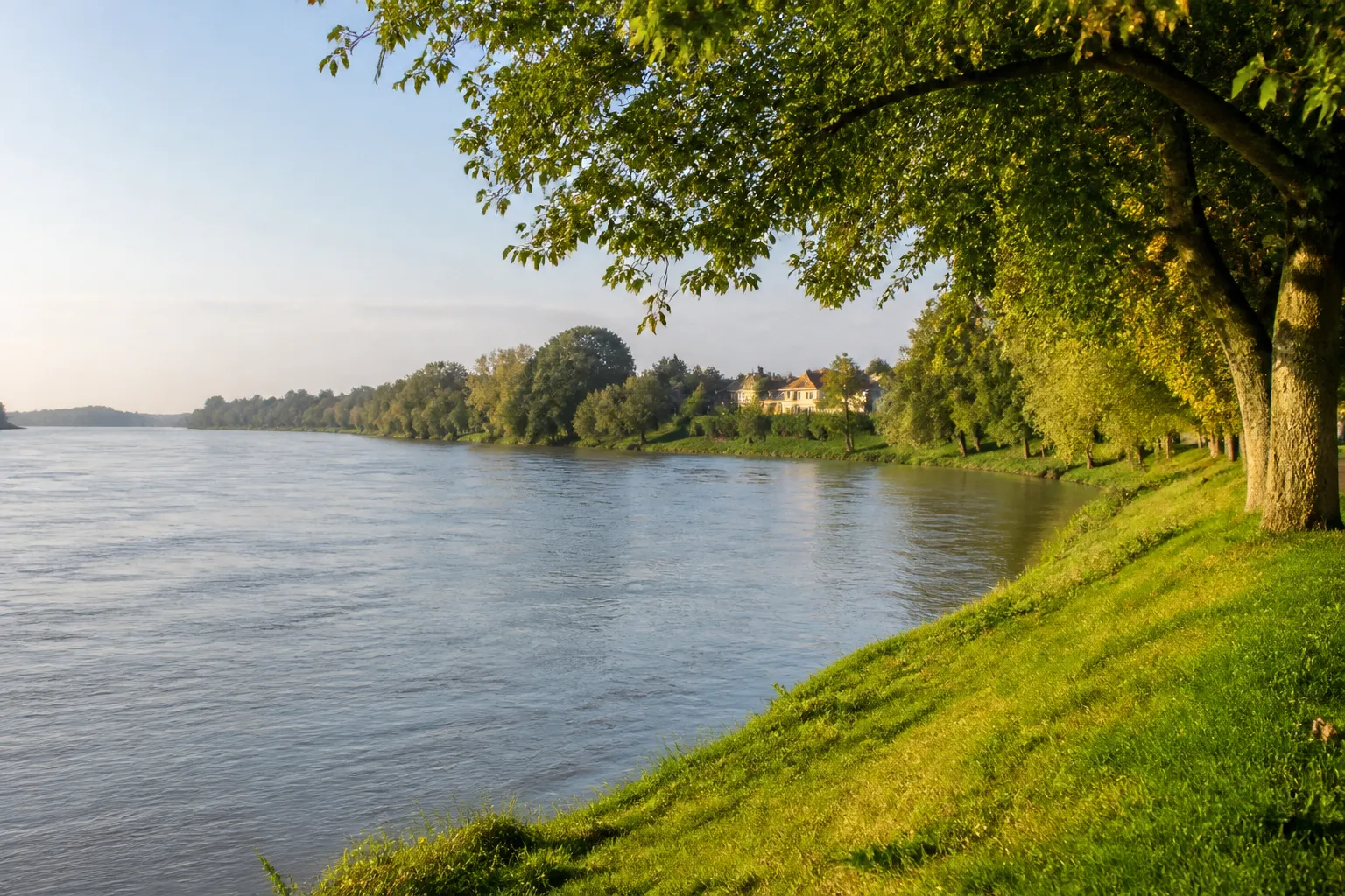 Berge d’un grand fleuve bordée d’arbres en périphérie de ville