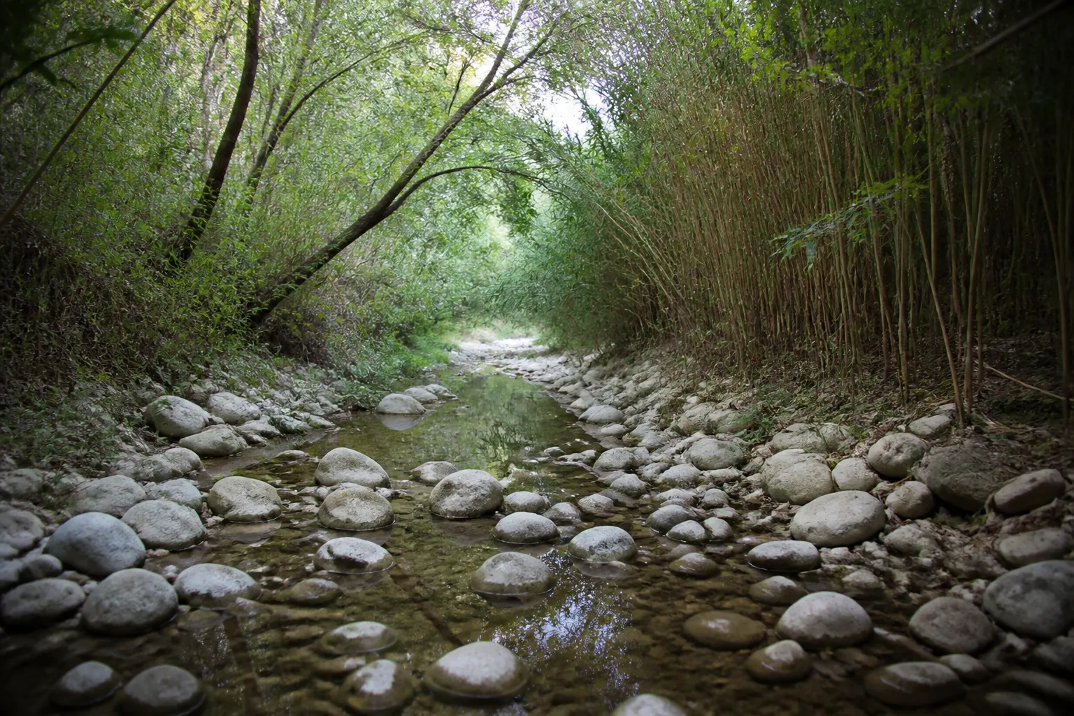 Petit cours d’eau méditerranéen au lit caillouteux bordé de végétation