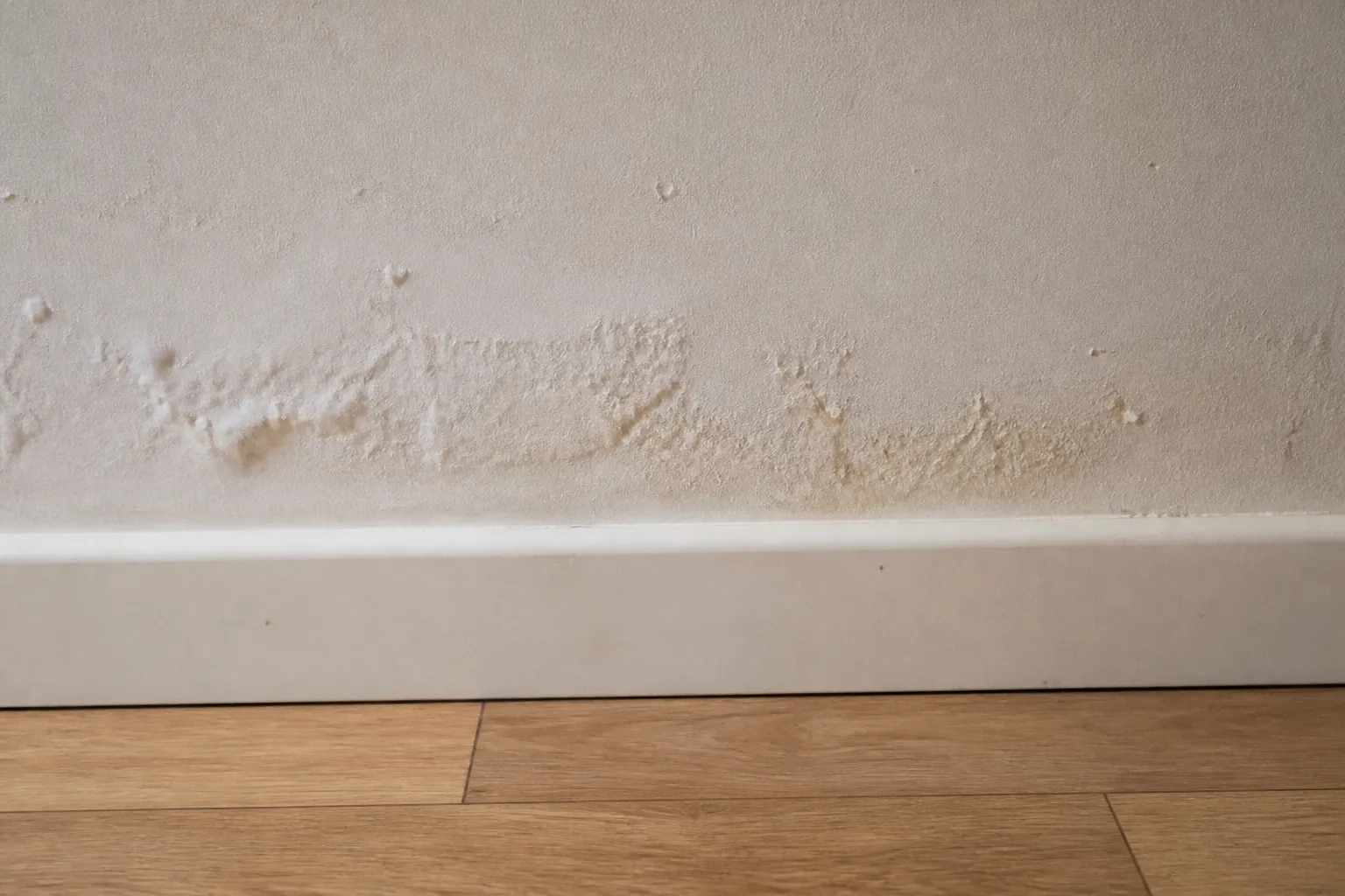 Plinthe et bas de mur intérieur abîmés par l’humidité
