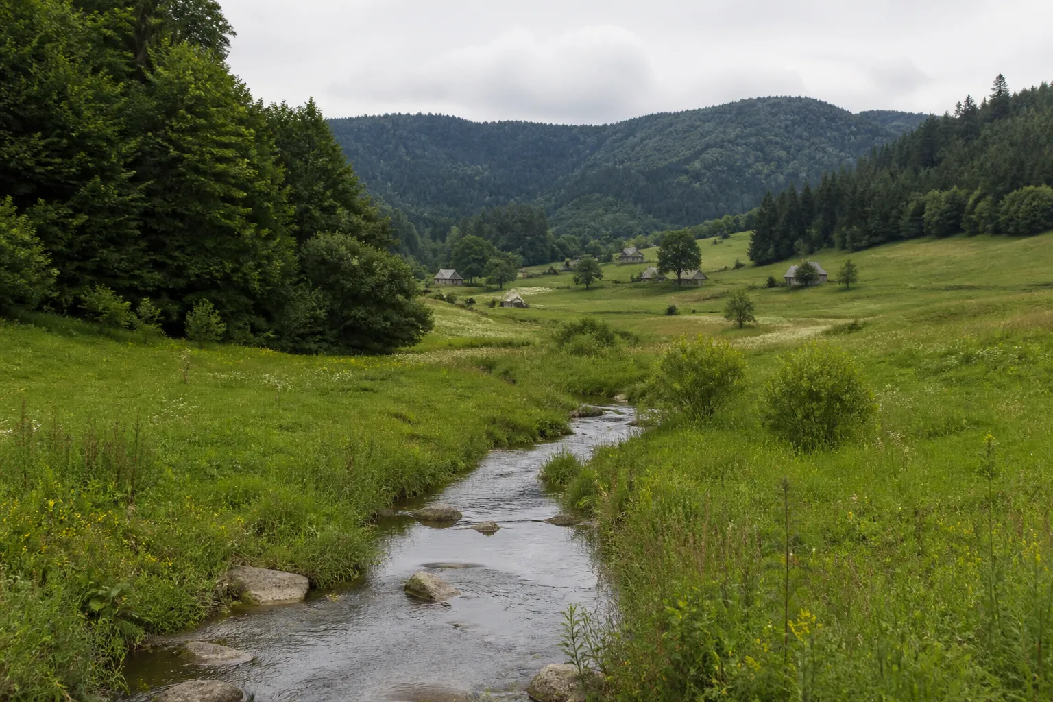 Vallon boisé avec un ruisseau entre des prairies