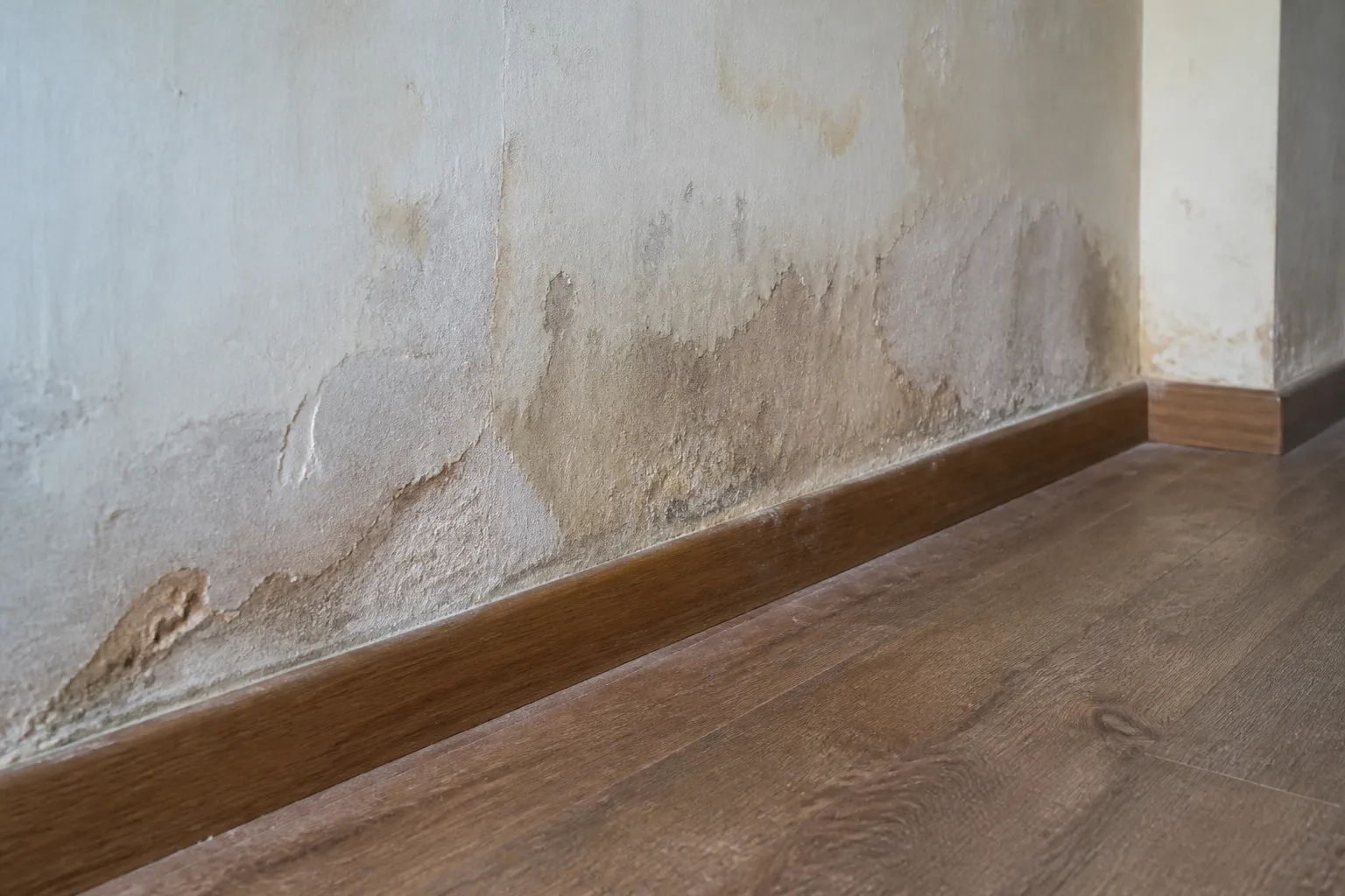 Rez-de-chaussée de maison avec traces d’humidité en bas de mur