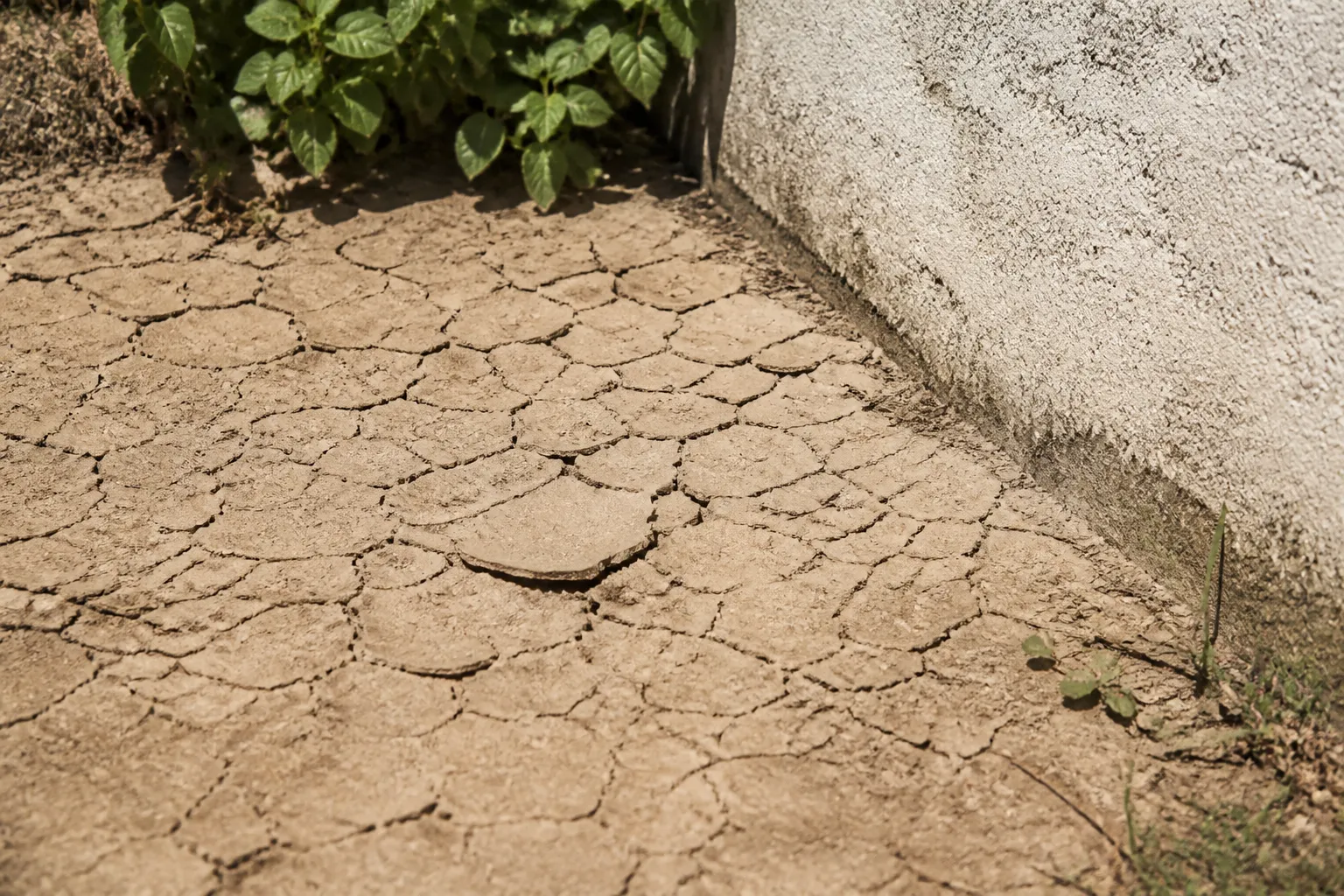Sol argileux craquelé par la sécheresse dans un jardin