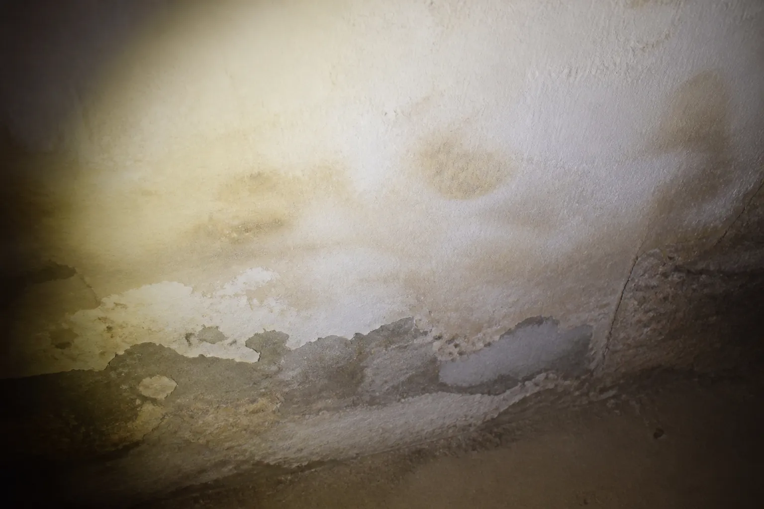 Mur de sous-sol avec traces d’humidité observé à la lampe