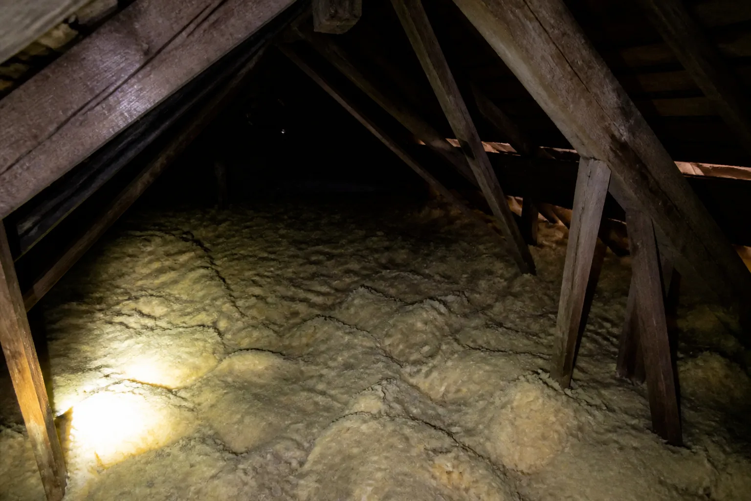 Combles avec charpente en bois inspectés à la lampe