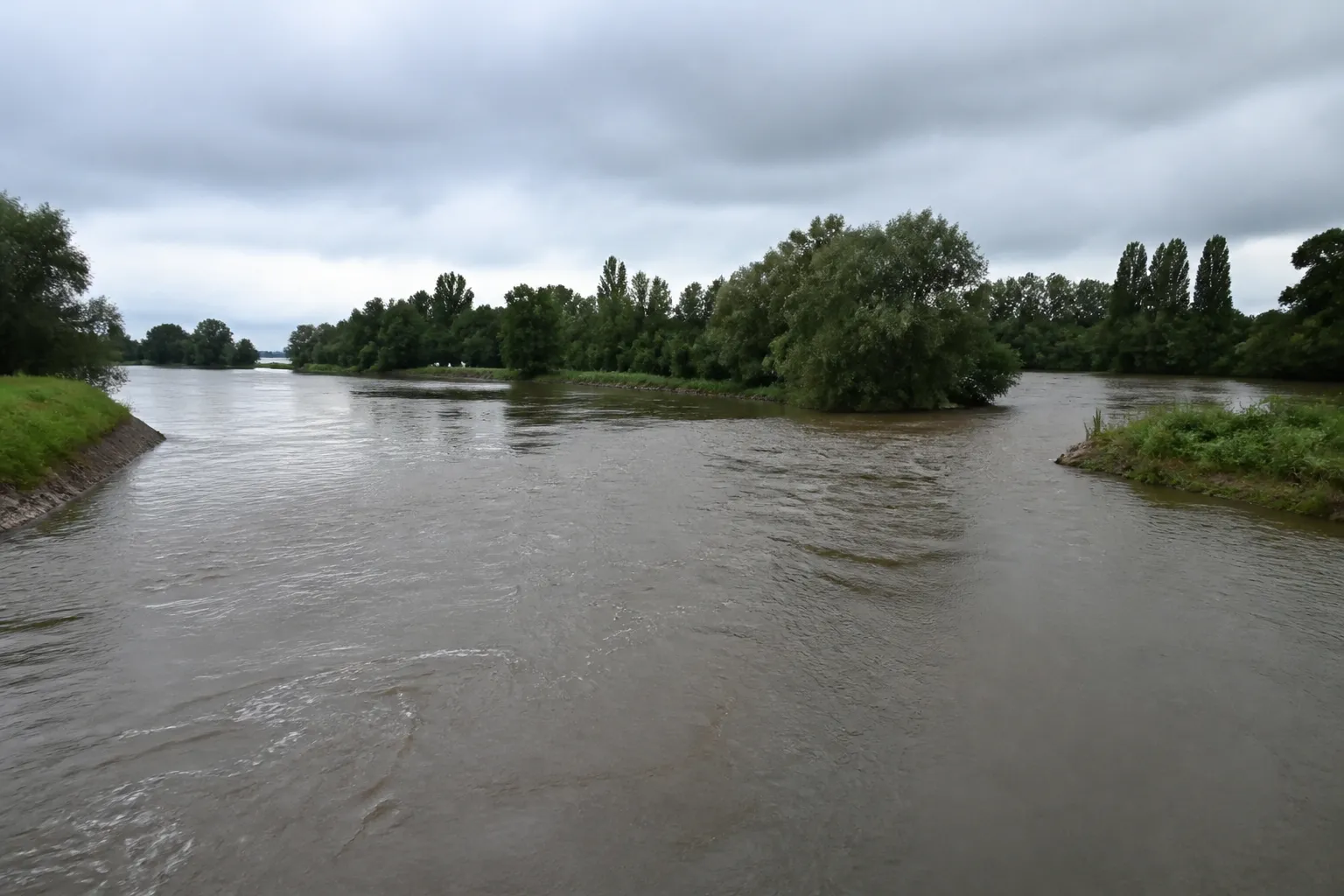 Confluence de deux rivières bordées de végétation