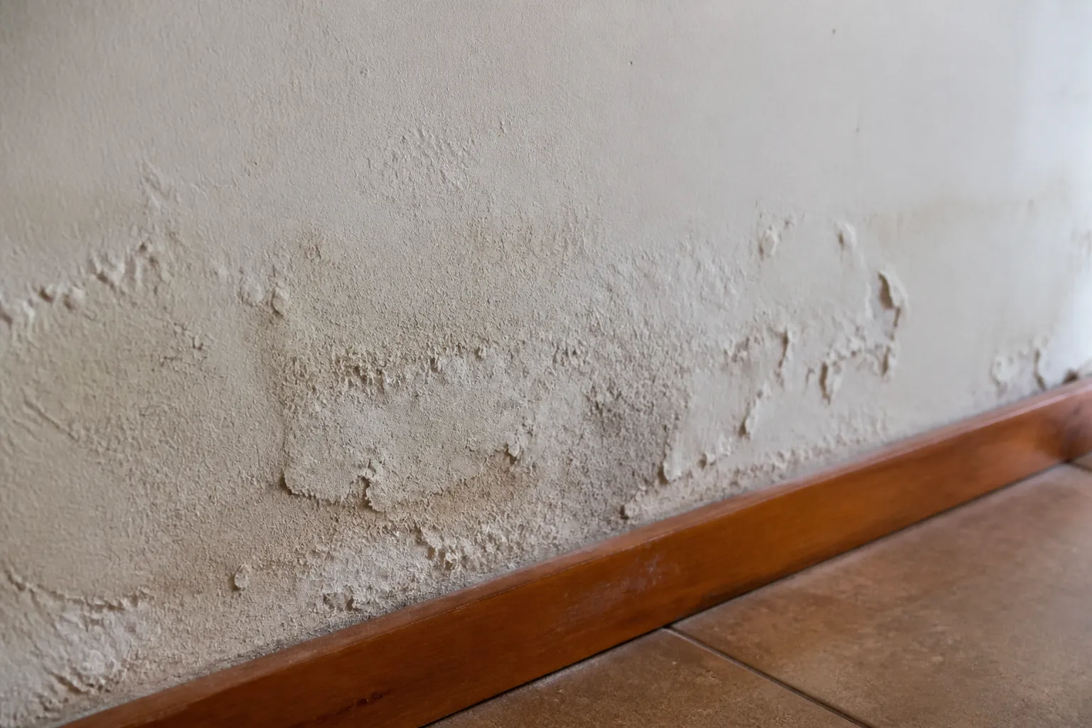 Plinthe et bas de mur intérieur avec auréoles d’humidité