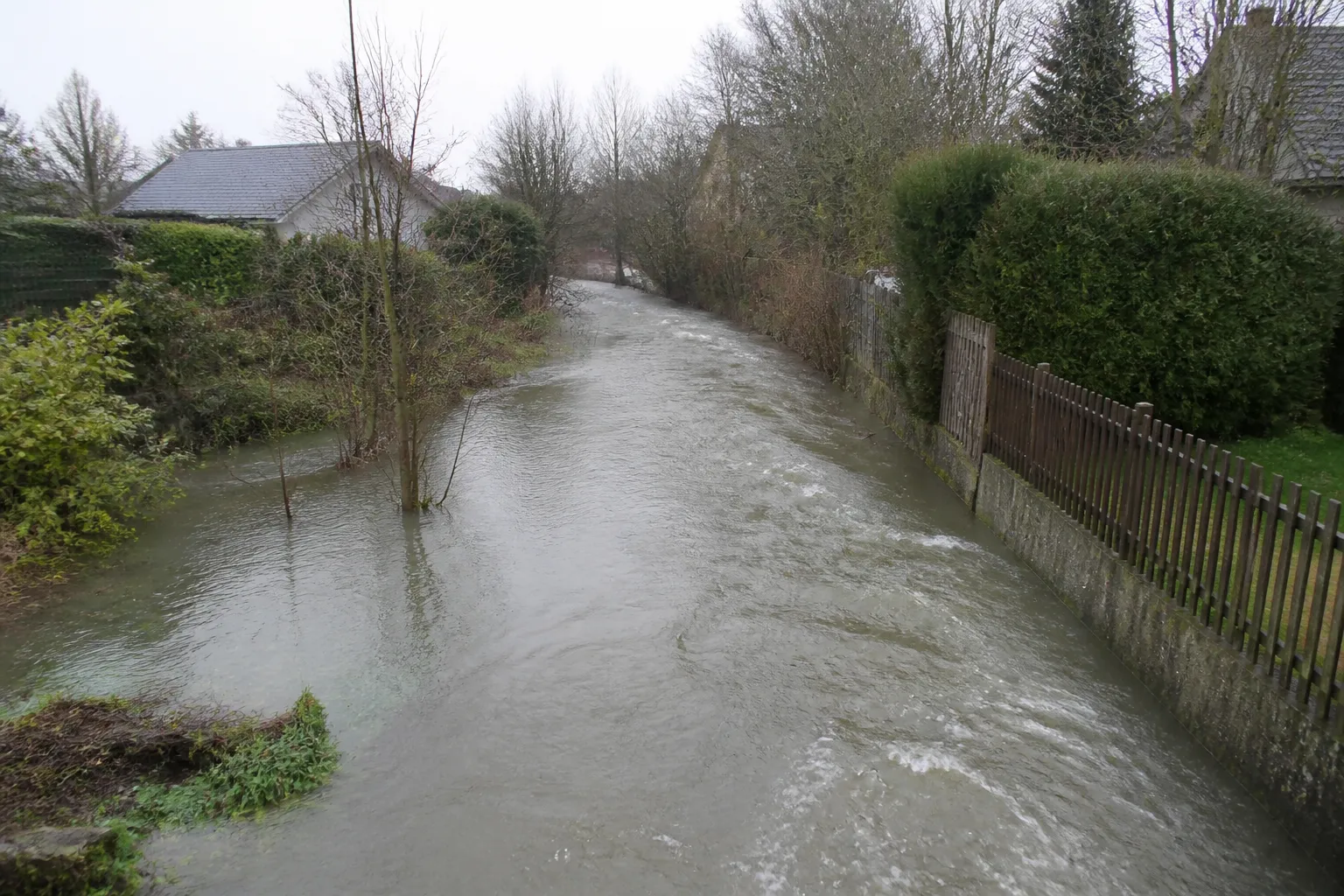 Petite rivière de banlieue bordée de jardins en période de crue
