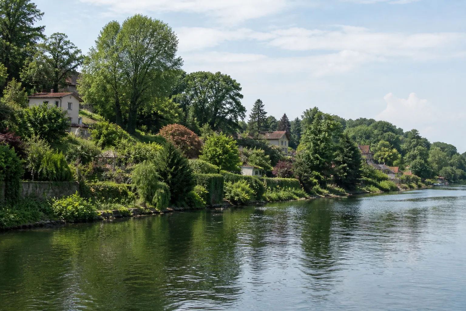 Berge de rivière avec maisons et jardins