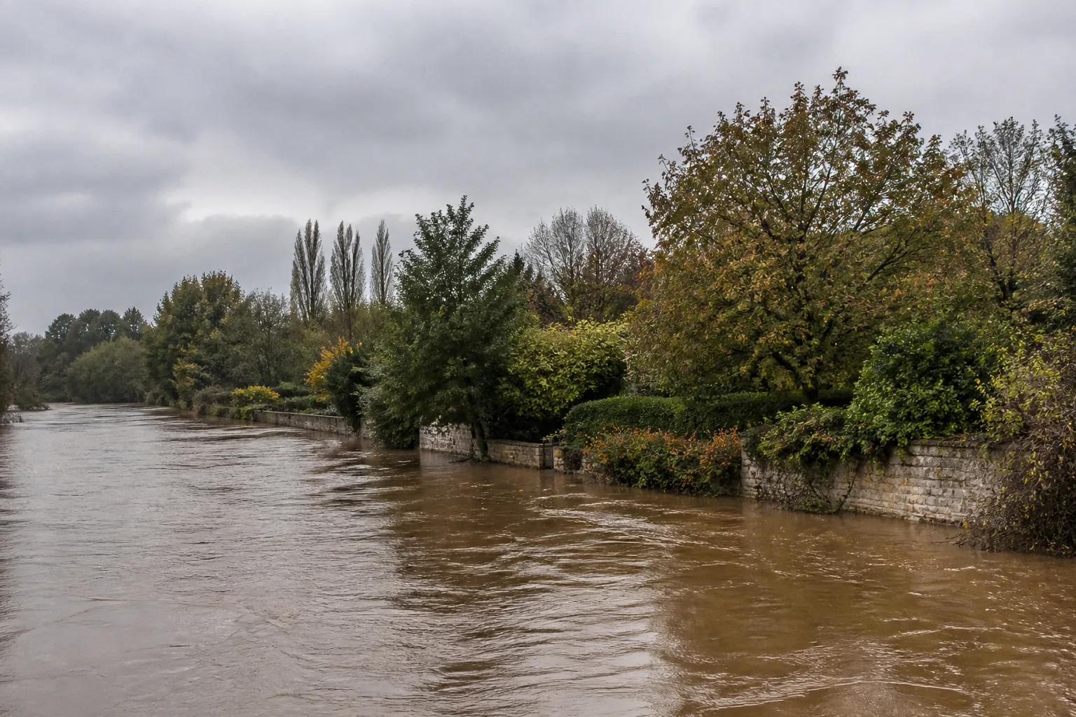 Rivière en crue au pied de jardins arborés