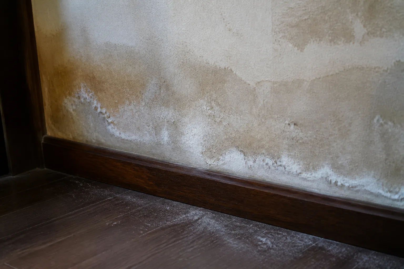 Enduit dégradé et salpêtre au pied d’un mur intérieur ancien