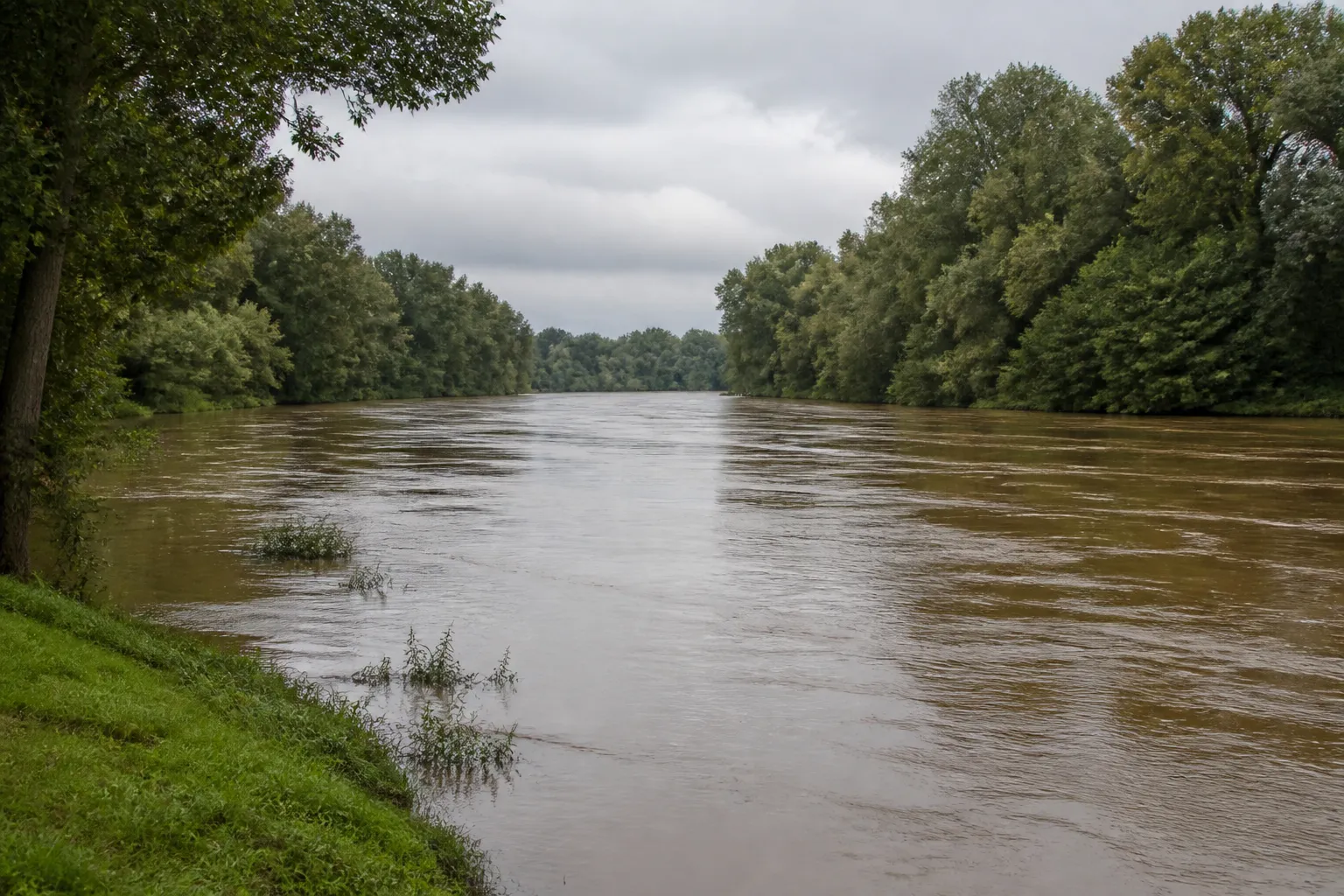 Rivière large bordée d’arbres en période de hautes eaux