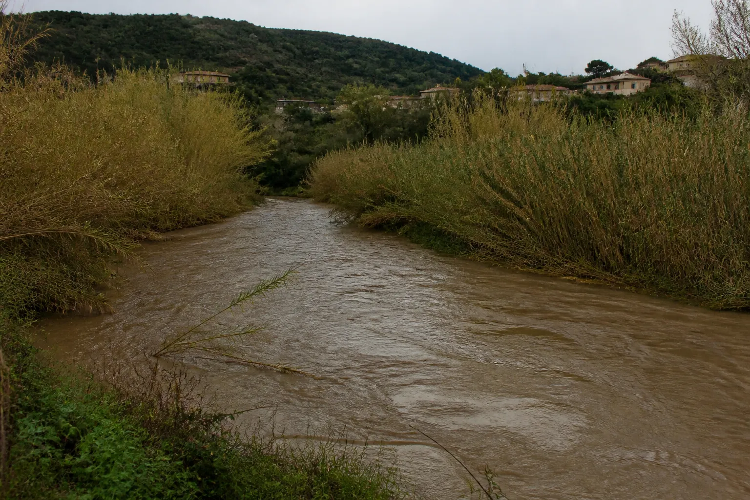 Rivière en crue modérée longeant des champs et des habitations
