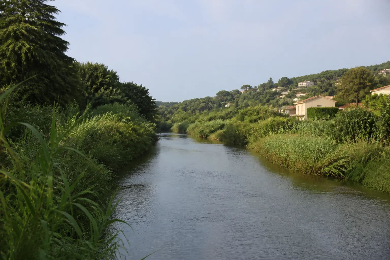 Petit fleuve côtier bordé de végétation à proximité de zones habitées