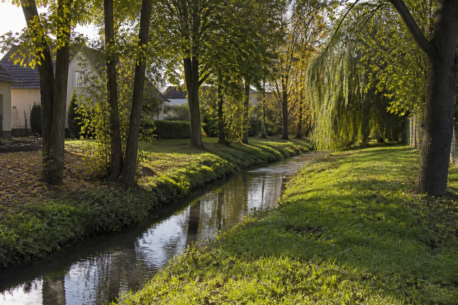 Rivière en plaine bordée d’arbres à proximité de maisons