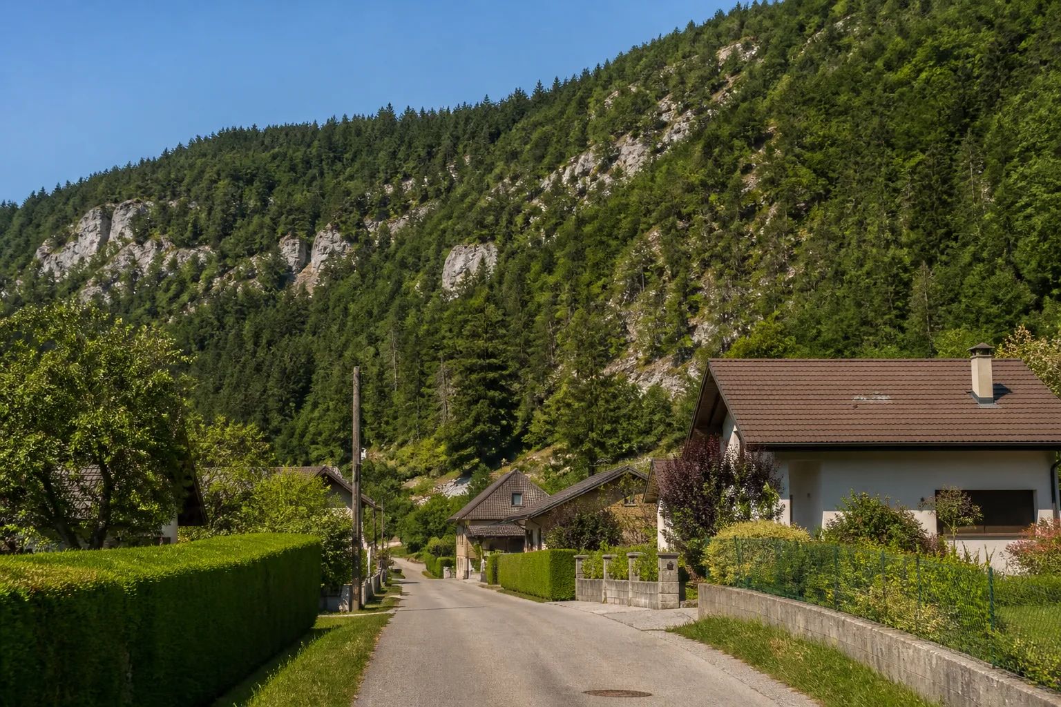 Maisons en contrebas d’un versant boisé dans une vallée
