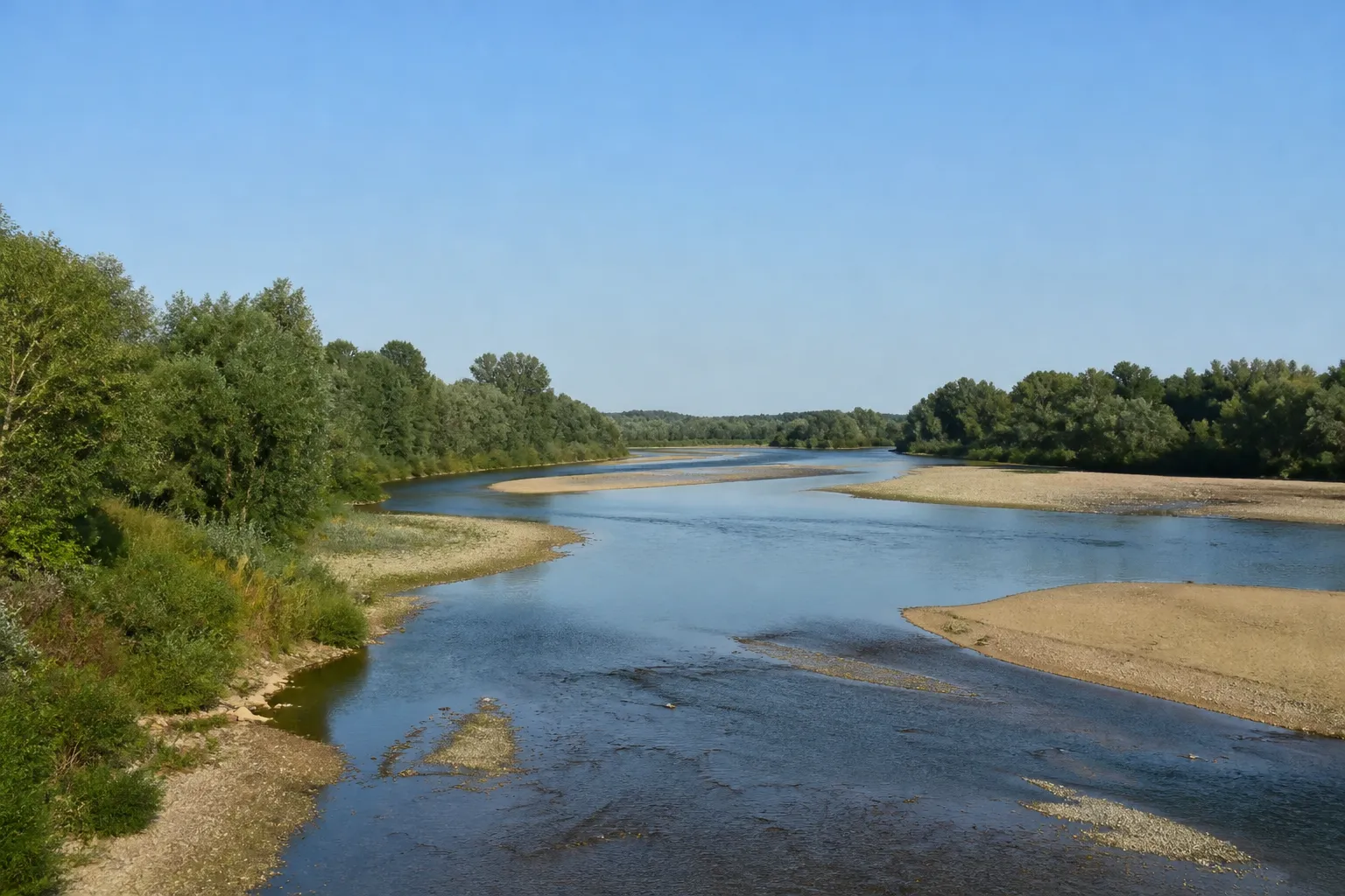 Large rivière aux bancs de sable bordée de végétation