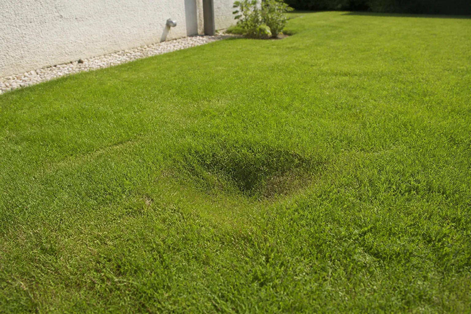 Léger affaissement de terrain dans une pelouse de jardin
