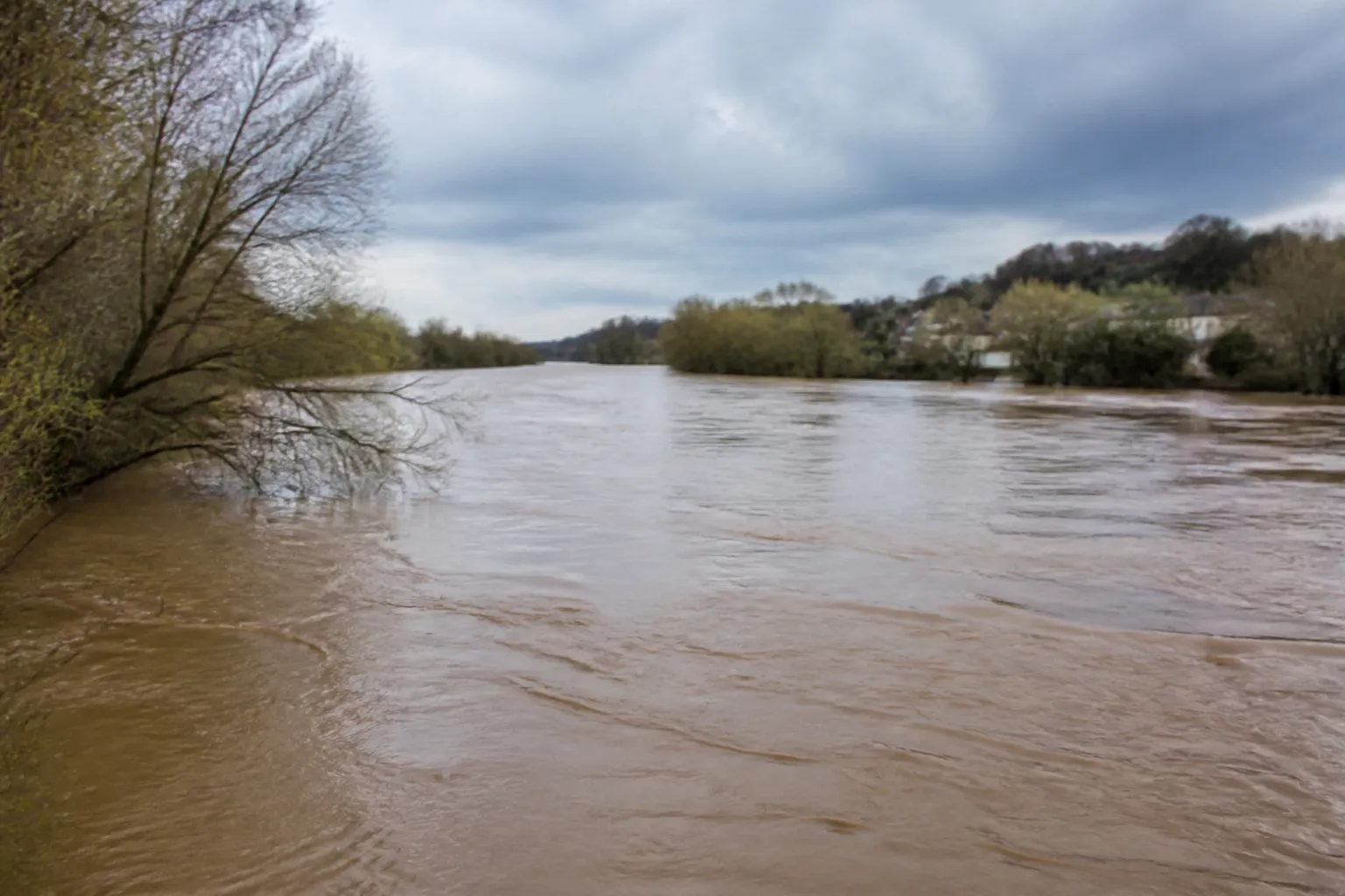 Rivière large en crue modérée au pied de berges arborées