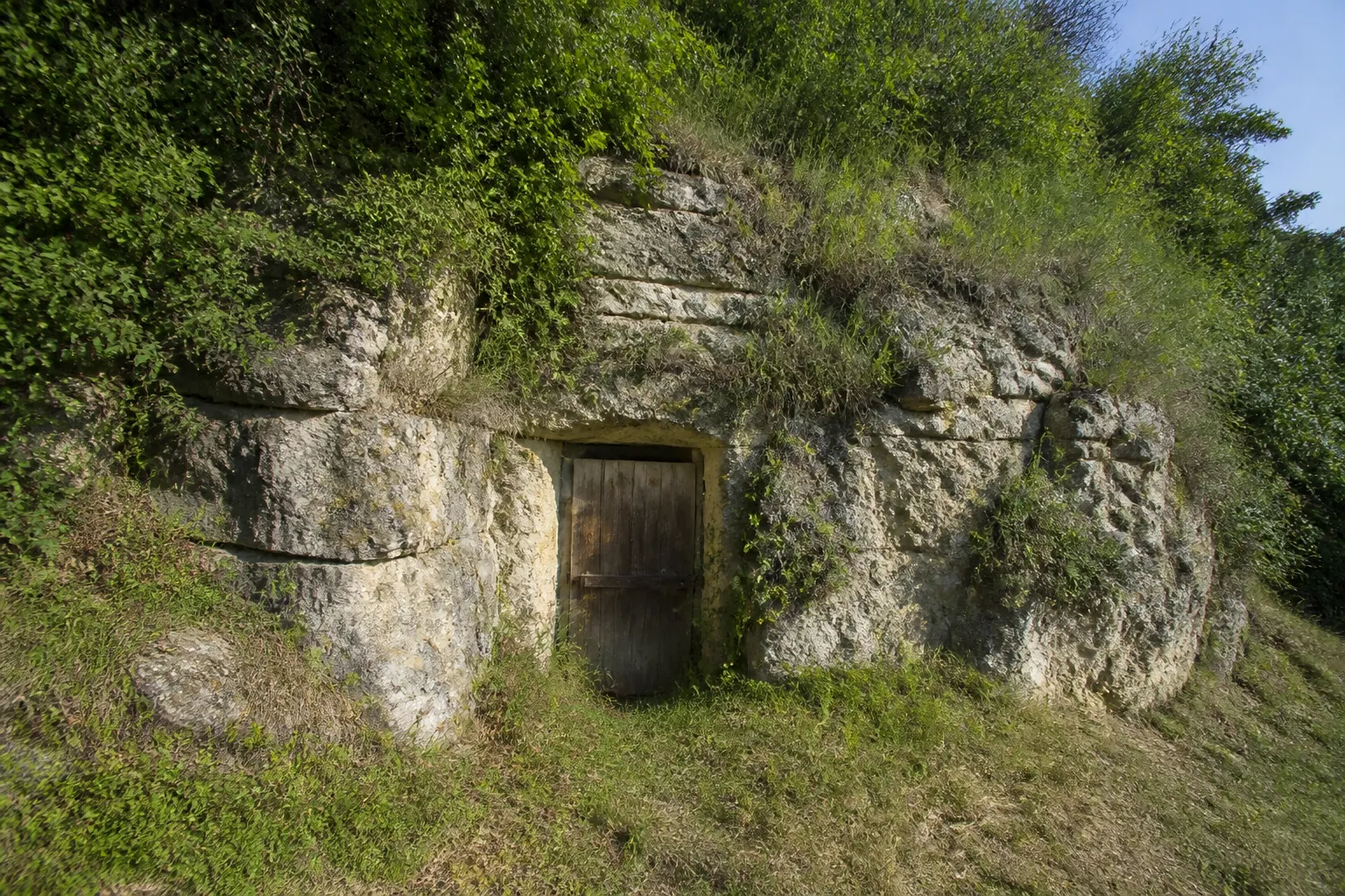 Coteau calcaire avec falaise basse et entrée de cave