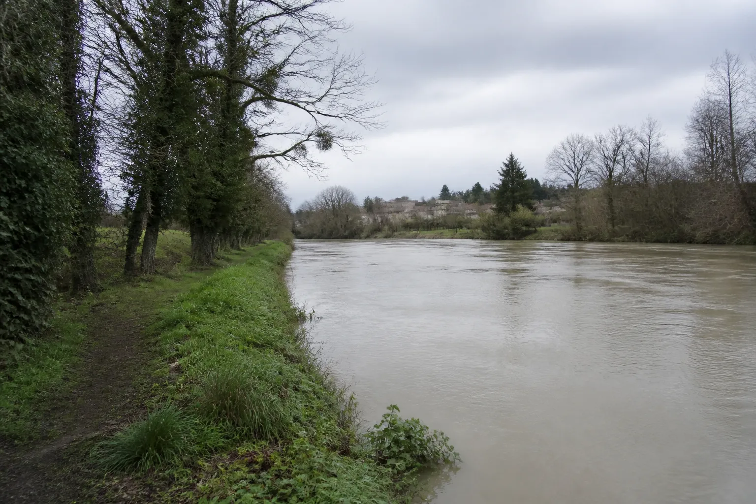 Berges d’une rivière bordée d’arbres en période de hautes eaux