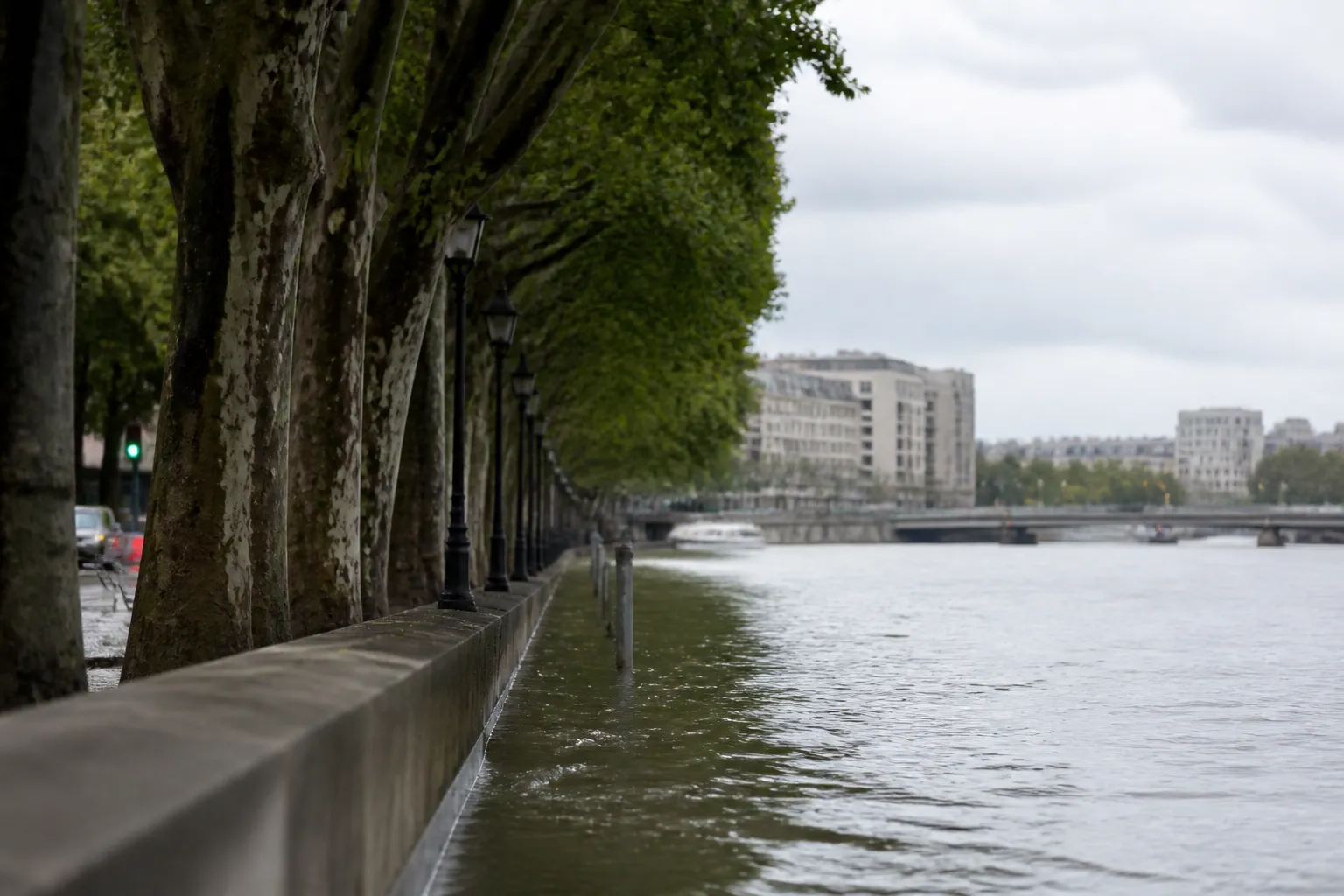Quai de Seine arboré en période de hautes eaux