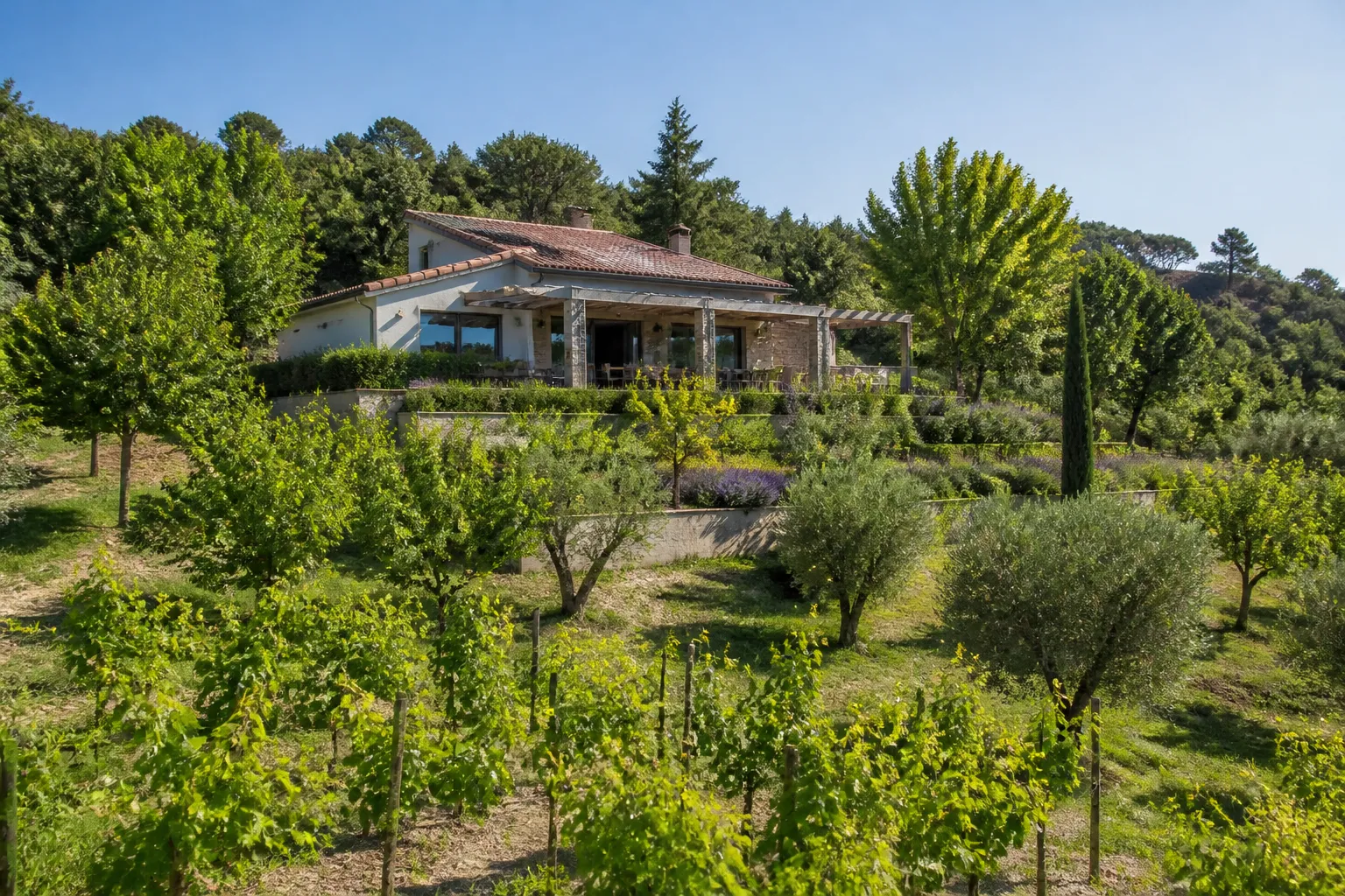 Maison individuelle sur un coteau planté de vignes et de vergers