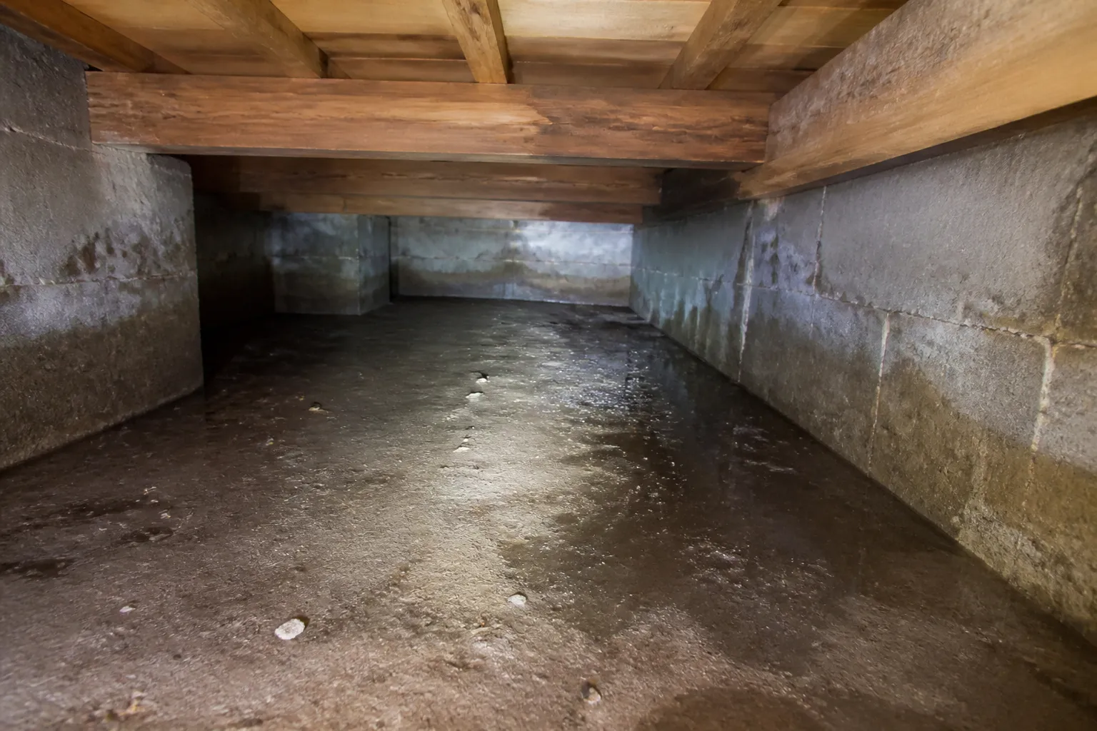 Vide sanitaire bas avec traces d’humidité sous un plancher