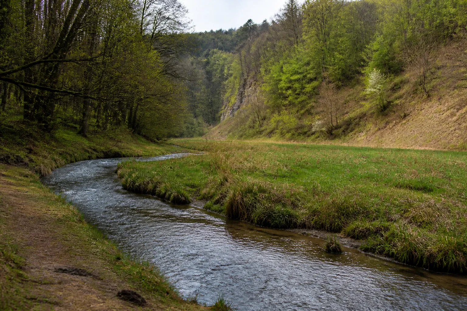 Petite rivière dans un vallon boisé avec prairie humide