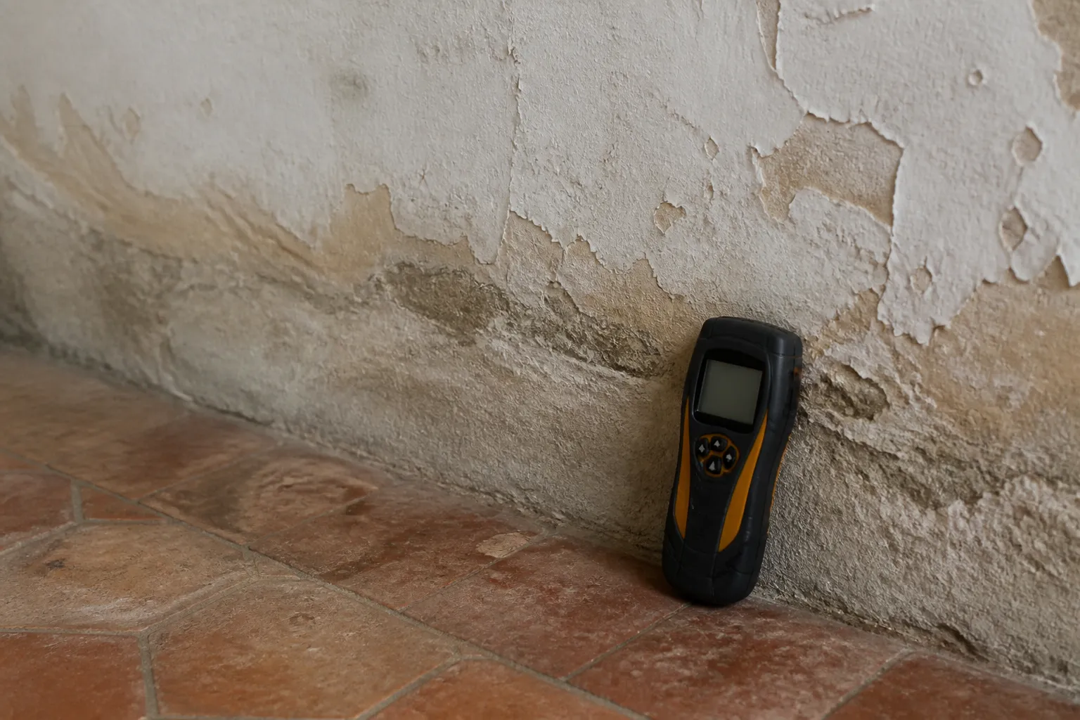 Traces d’humidité anciennes au pied d’un mur en rez-de-chaussée