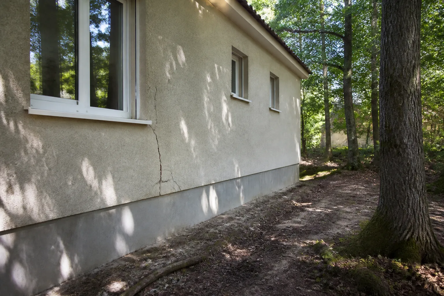 Faut-il renoncer à une maison entourée d'arbres ?